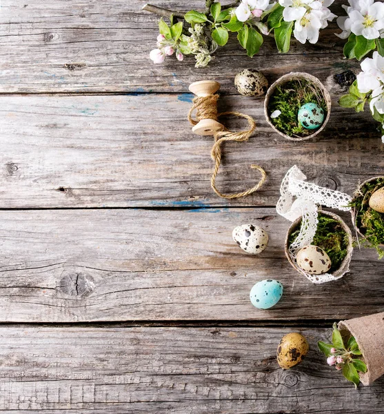 Colorful Easter quail eggs — Stock Photo, Image