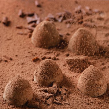 Çikolatalı trüf ve kakao tozu.