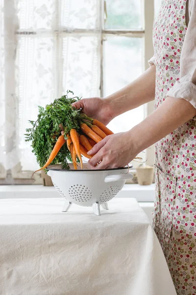 Zanahoria fresca en manos femeninas — Foto de Stock
