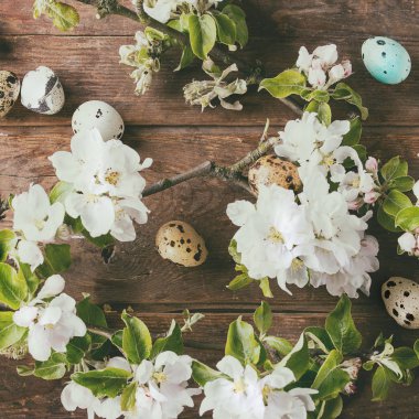 renkli Paskalya bıldırcın yumurtası