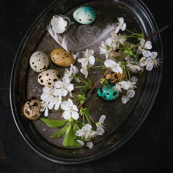 Ovos de codorna de Páscoa coloridos — Fotografia de Stock