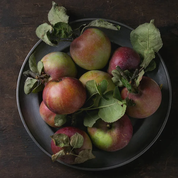 Яблоки с листьями — стоковое фото