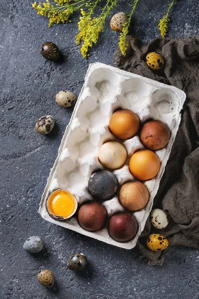 Brown colored easter eggs — Stock Photo, Image