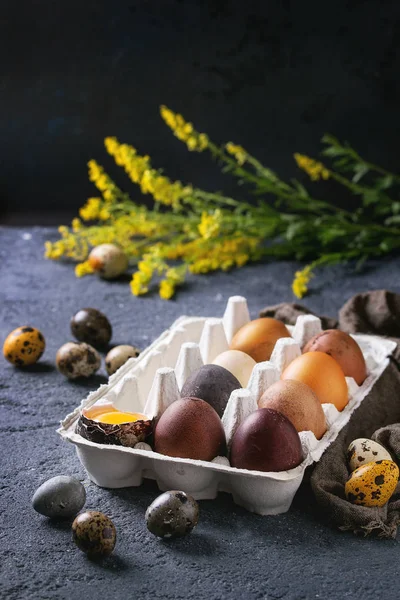 Brown colored easter eggs — Stock Photo, Image