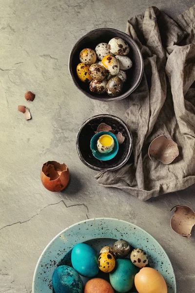 色の鶏とウズラの卵 — ストック写真