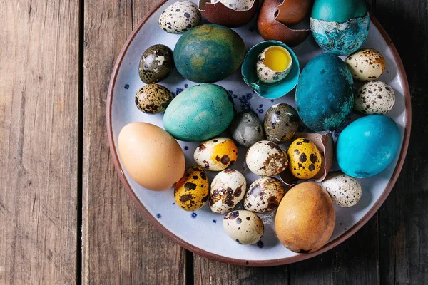 色の鶏とウズラの卵 — ストック写真