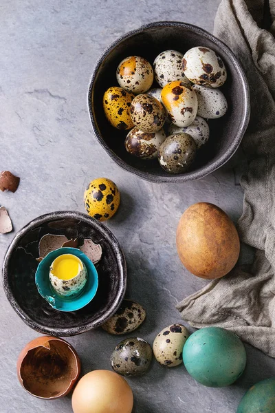 Colored chicken and quail eggs — Stock Photo, Image