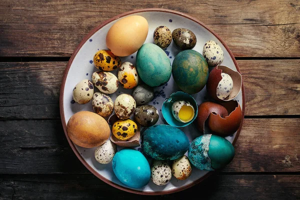 Colored chicken and quail eggs — Stock Photo, Image