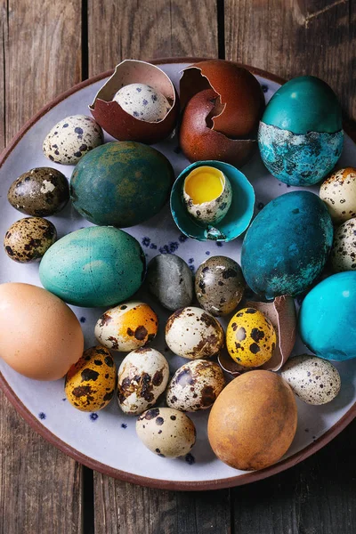 Colored chicken and quail eggs — Stock Photo, Image