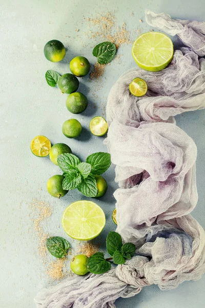 Ingredients for mojito — Stock Photo, Image