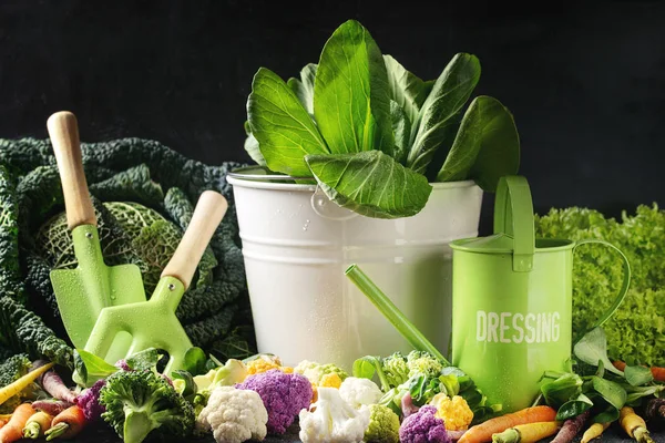 Zöld saláta, káposzta, színes zöldségekkel — Stock Fotó