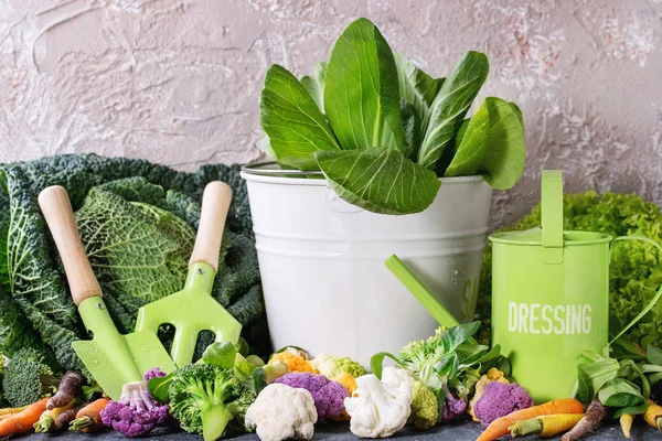 Zöld saláta, káposzta, színes zöldségekkel — Stock Fotó