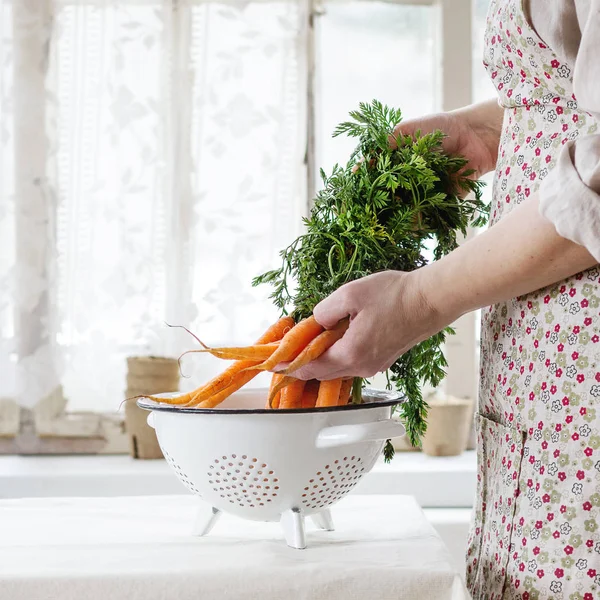 Cenoura fresca em mãos femininas — Fotografia de Stock