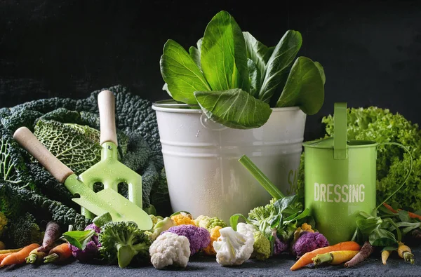 Зелені салати, капуста, барвисті овочі — стокове фото