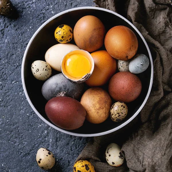 Uova di Pasqua di colore marrone — Foto Stock