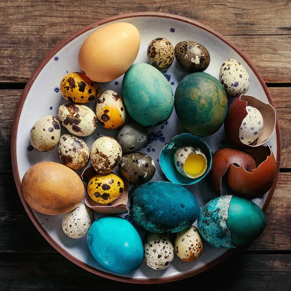 Colored chicken and quail eggs — Stock Photo, Image