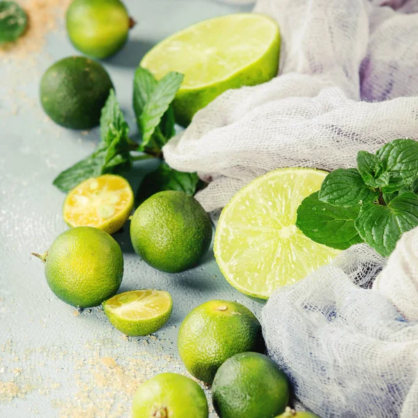 Ingredienser för mojito — Stockfoto