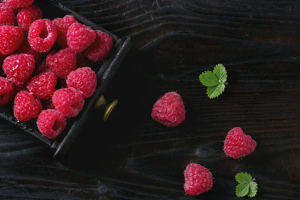 Raspberry segar dalam kotak — Stok Foto