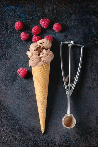 Chocolate ice cream with raspberries — Stock Photo, Image