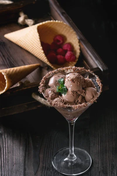 Chocolate ice cream with raspberries — Stock Photo, Image