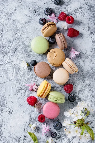 Variety of french dessert macaroons — Stock Photo, Image