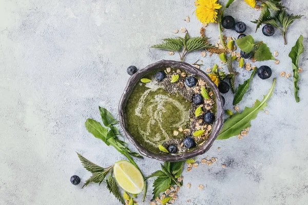 Batido de ortiga y diente de león de primavera — Foto de Stock