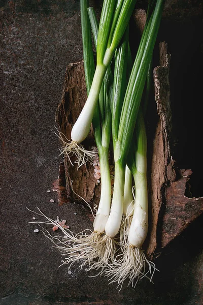 Manojo de cebolla fresca de primavera —  Fotos de Stock