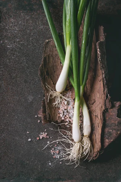 Manojo de cebolla fresca de primavera — Foto de Stock