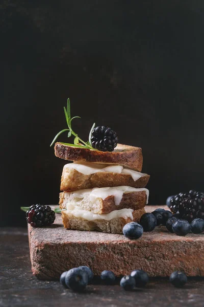 Сэндвич с козьим сыром и ягодами — стоковое фото