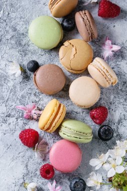 Variety of french dessert macaroons clipart