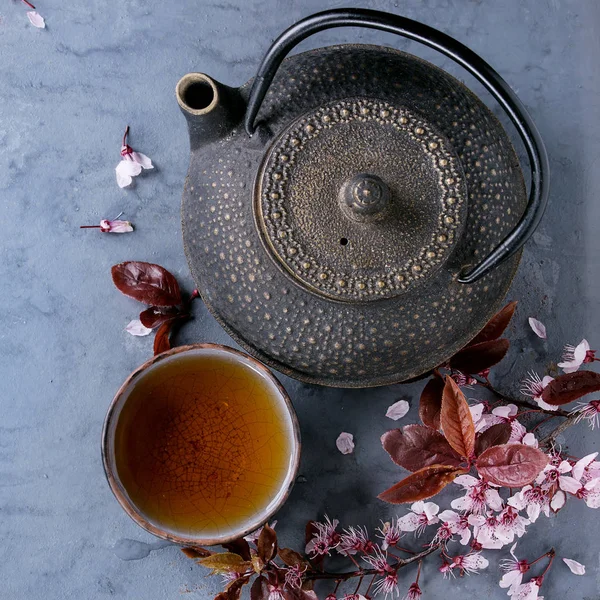 Teapot and cup of tea with blossom branch — Stock Photo, Image