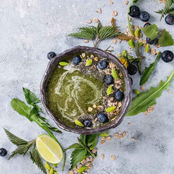 Batido de ortiga y diente de león de primavera — Foto de Stock