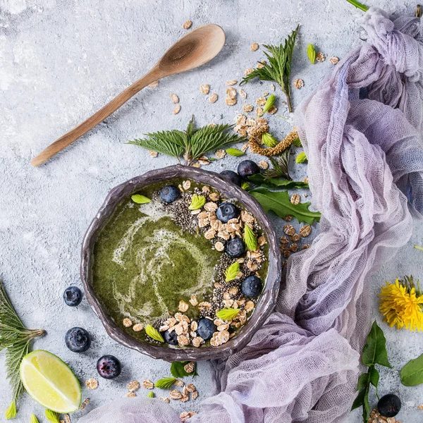 Batido de ortiga y diente de león de primavera — Foto de Stock