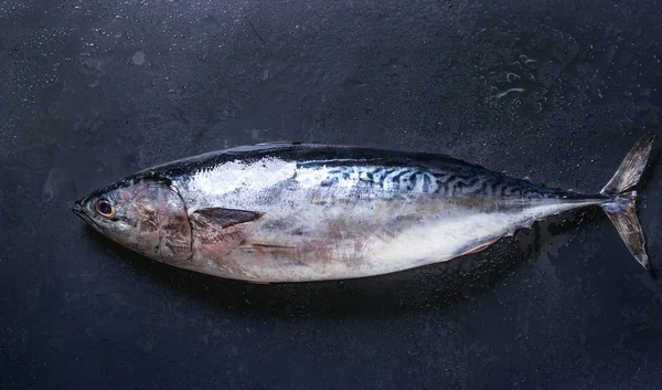 Сырая свежая рыба — стоковое фото