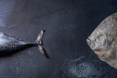 Çiğ Taze orkinos ve pisi balığı balık