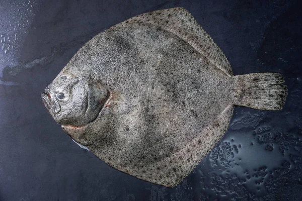 Ikan tuna segar mentah — Stok Foto