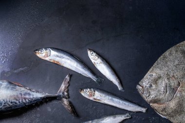 Çiğ taze ton balığı, ringa balığı ve pisi balığı balık
