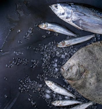 Çiğ taze ton balığı, ringa balığı ve pisi balığı balık