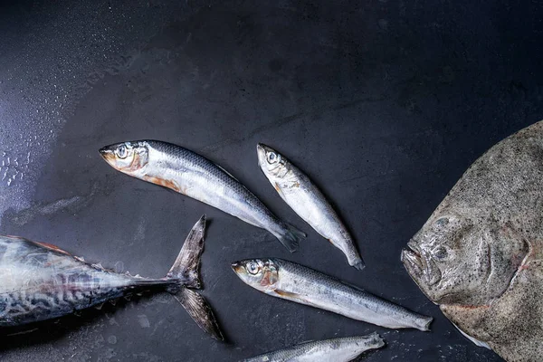 Tonno, aringa e passera pianuzza freschi e crudi — Foto Stock