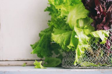 Çeşitli yaprak salata