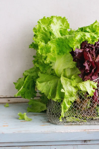 Különböző leveles saláta — Stock Fotó