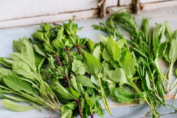 Various of garden herbs — Stock Photo, Image