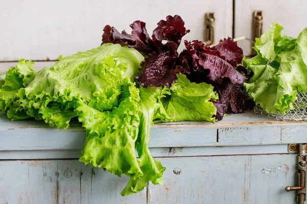 Varios de ensalada de hojas — Foto de Stock