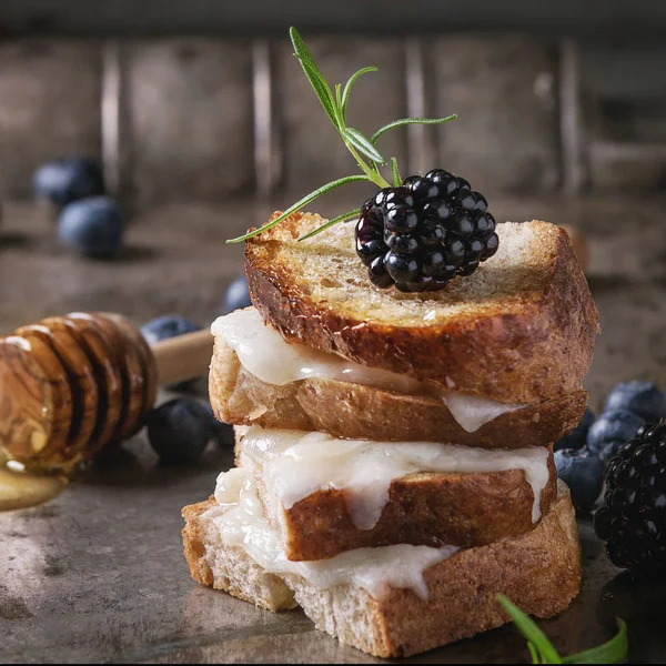 Sanduíche com queijo de cabra e bagas — Fotografia de Stock