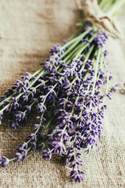 Lavanta çiçek demeti