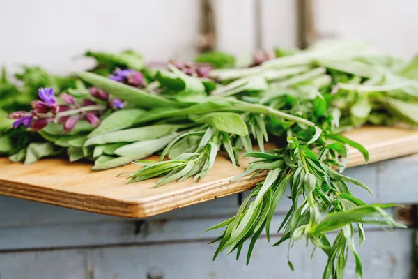 Divers des herbes de jardin — Photo