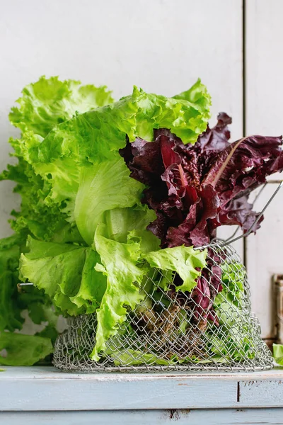 Çeşitli yaprak salata — Stok fotoğraf