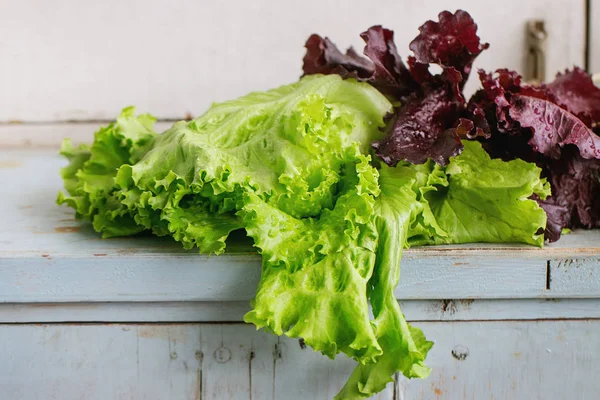 Verschiedene Arten von Blattsalat — Stockfoto