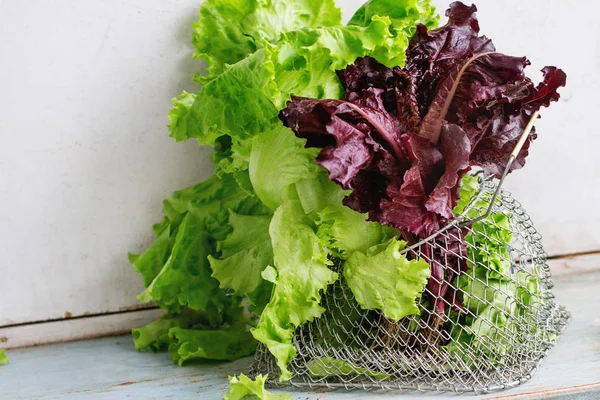 Varie di insalata di foglia — Foto Stock