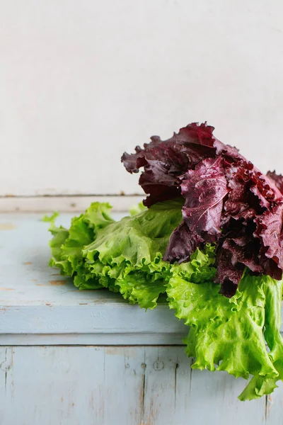 Vários de salada de folha — Fotografia de Stock